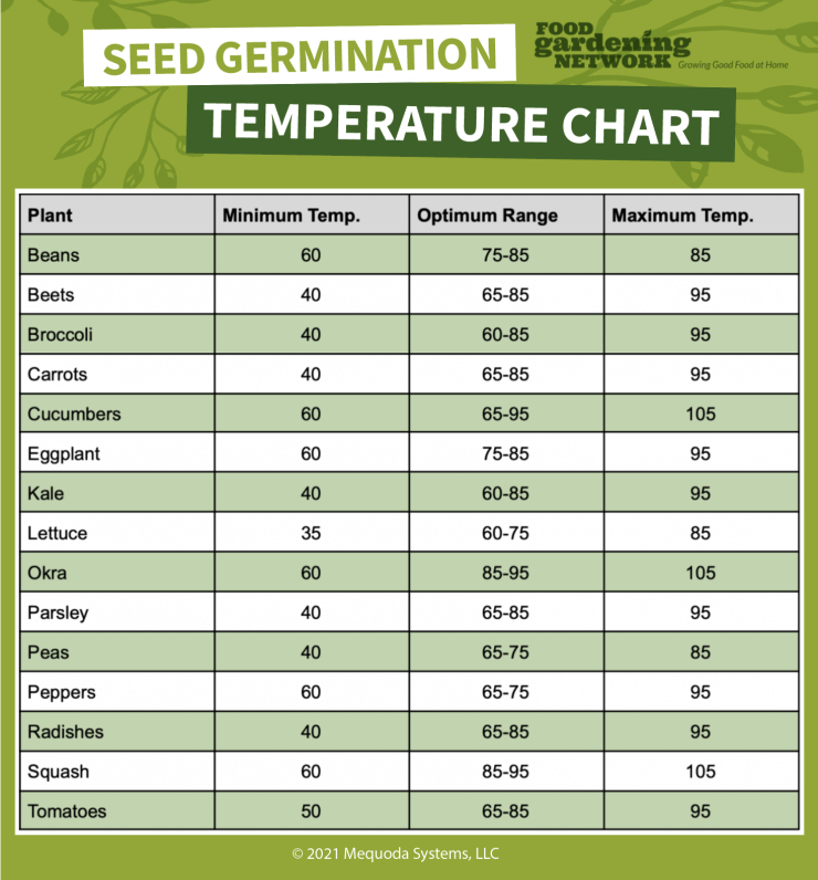 Plant Seed Germination Chart