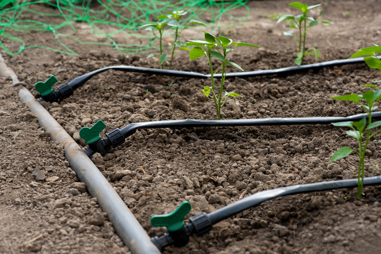 3 Benefits Of A Homemade Irrigation System For Vegetable Gardens Food