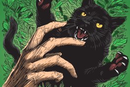 Cat Attack!