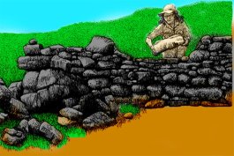 Garden Wall, Stone Roots