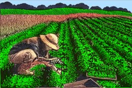 My Row of 2,000 My Row of 2,000