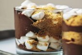 5 Minute Smores