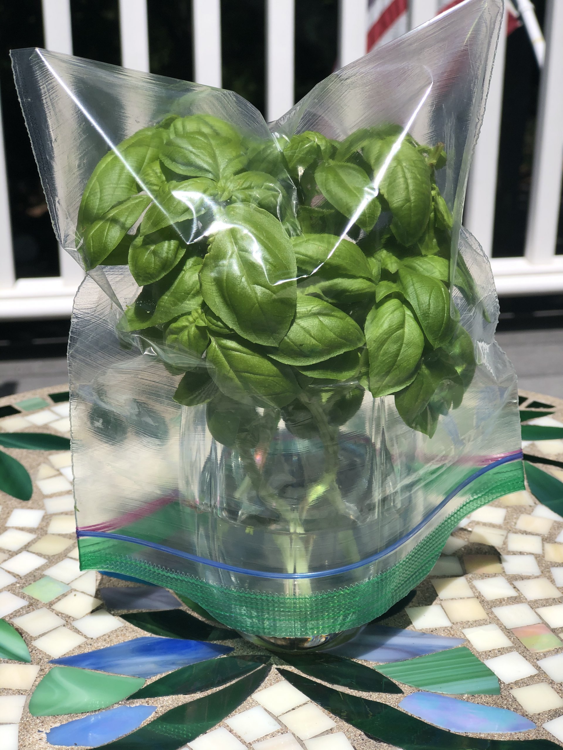 How to Store FreshCut Basil Leaves Food Gardening Network