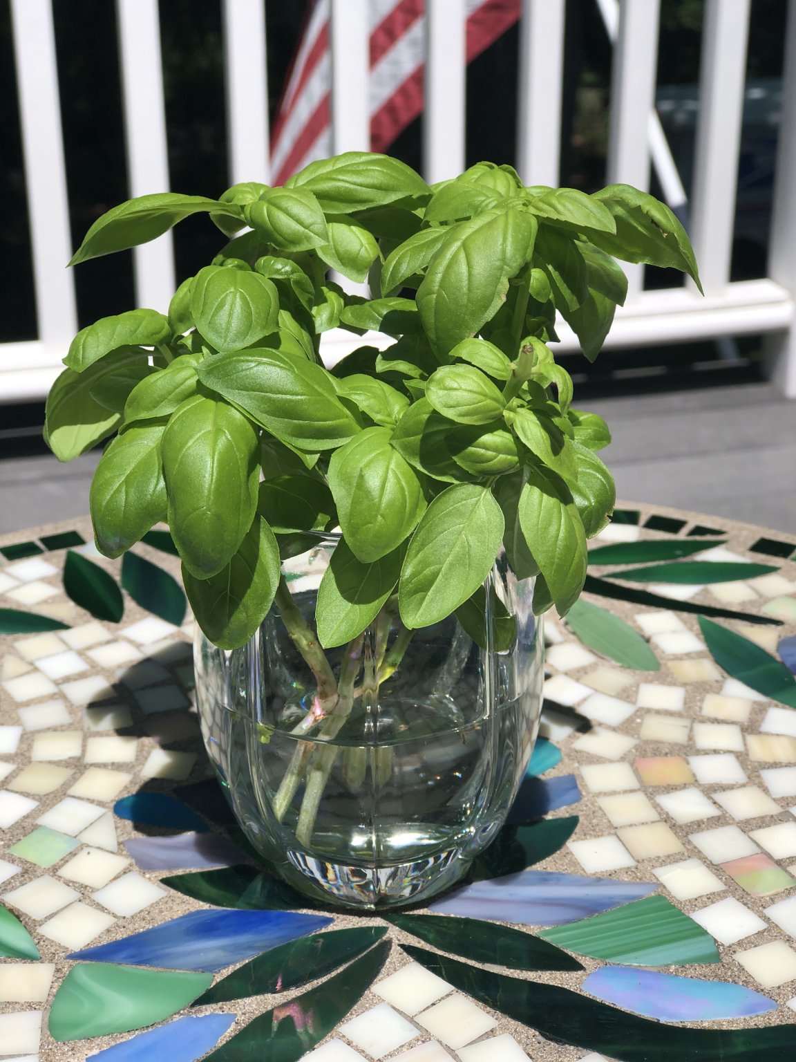 how-to-store-fresh-cut-basil-leaves-food-gardening-network