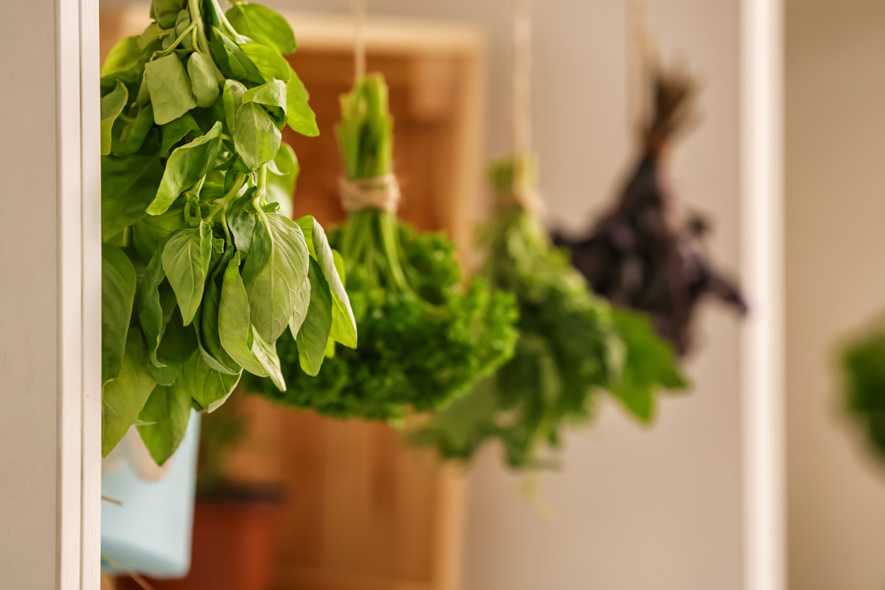 how-to-store-fresh-cut-basil-leaves-food-gardening-network