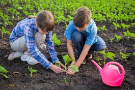 How to Plan a Kid’s Vegetable Garden