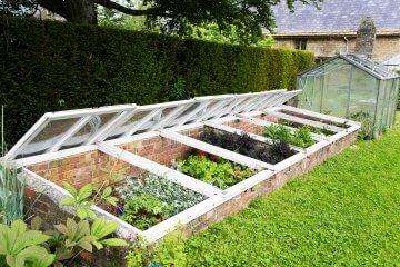 The 5 Best Cold Frames According to Food Gardeners