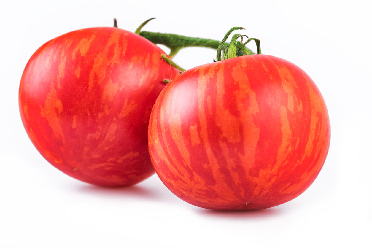 Red Zebra Heirloom Tomato