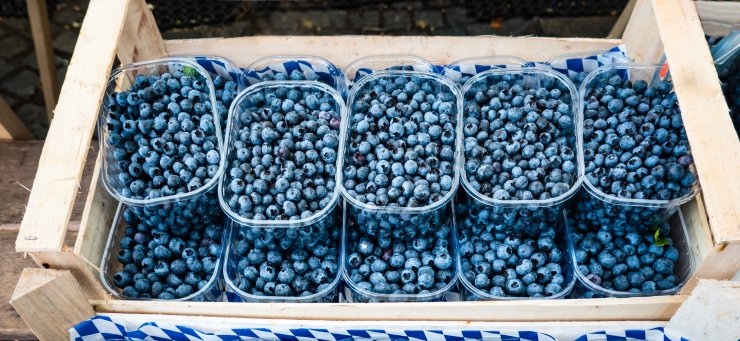 Top Hat Blueberries arranged for sale