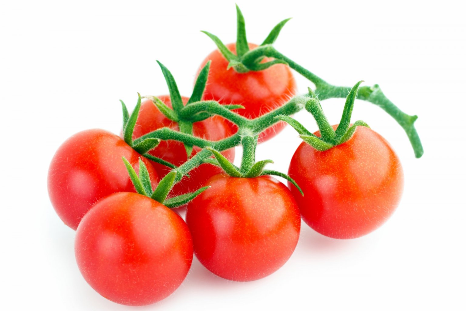 Cherry Tomatoes Food Gardening Network