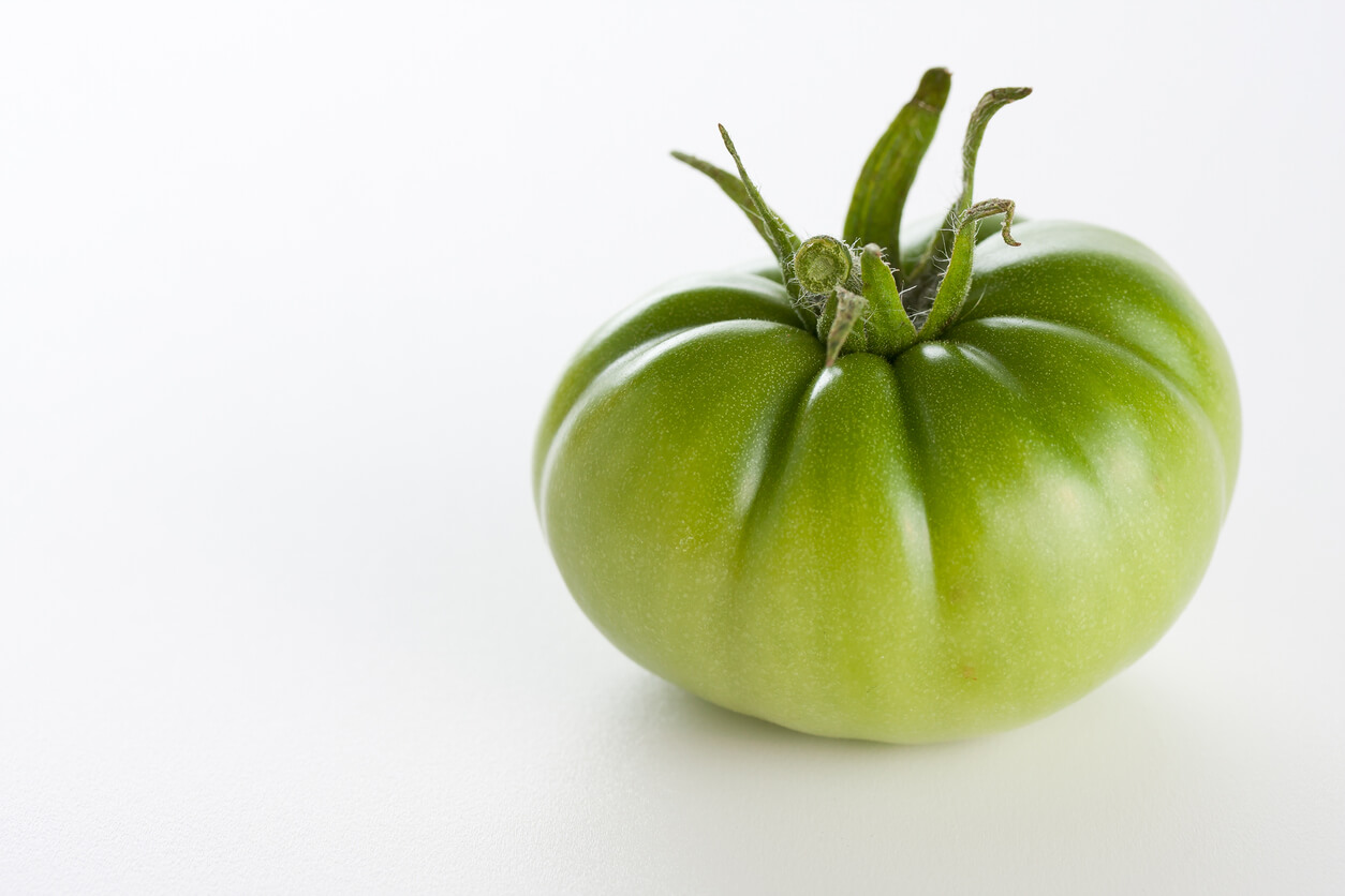 green zebra tomato beefsteak