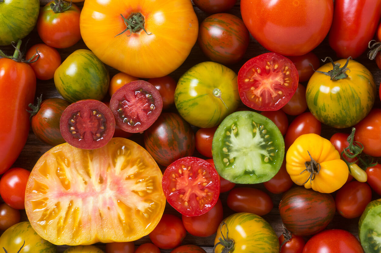 Tip 1 Choose Your Tomato Variety Food Gardening Network