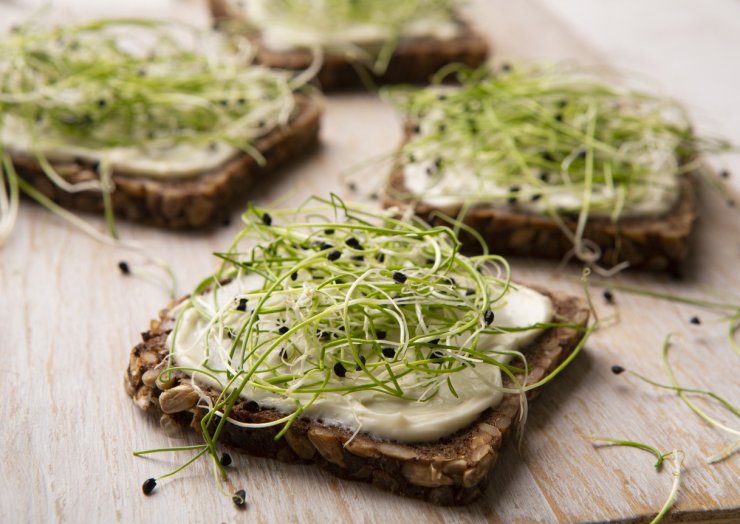 Sprout sandwiches
