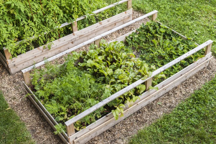  Raised garden bed