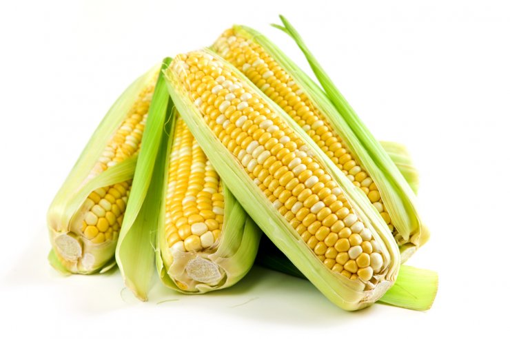 Ambrosia Hybrid Corn