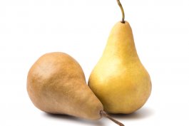 Bosc Pear: Pyrus communis “Bosc” (European Pear)