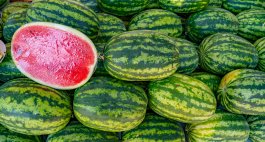 Decoding Watermelon Ripeness
