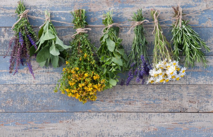 dried herbs hanging 