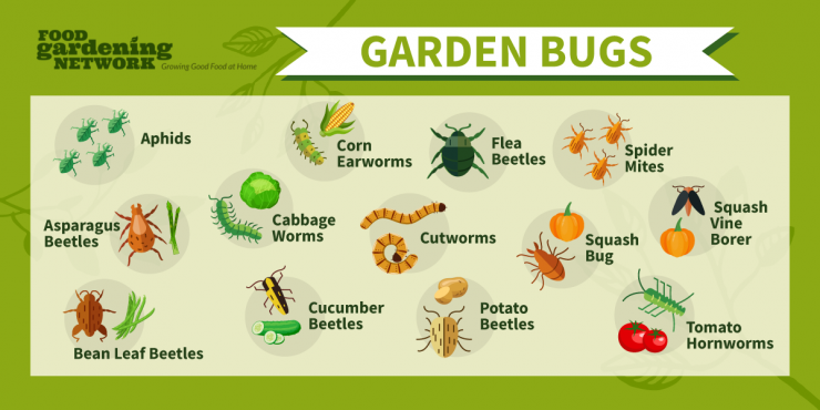 Garden pest store