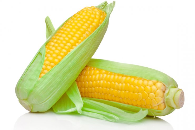 golden bantam corn