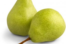 Bartlett Pear: Pyrus communis “Bartlett” (European Pear)