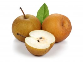 Chojuro Pear: Pyrus pyrifolia “Chojuro” (Asian Pear)