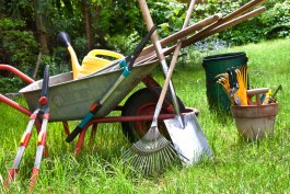 Essential Tools and Equipment for Growing Peaches