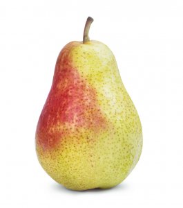 Harrow Sweet Pear: Pyrus communis “Harrow Sweet” (European Pear)