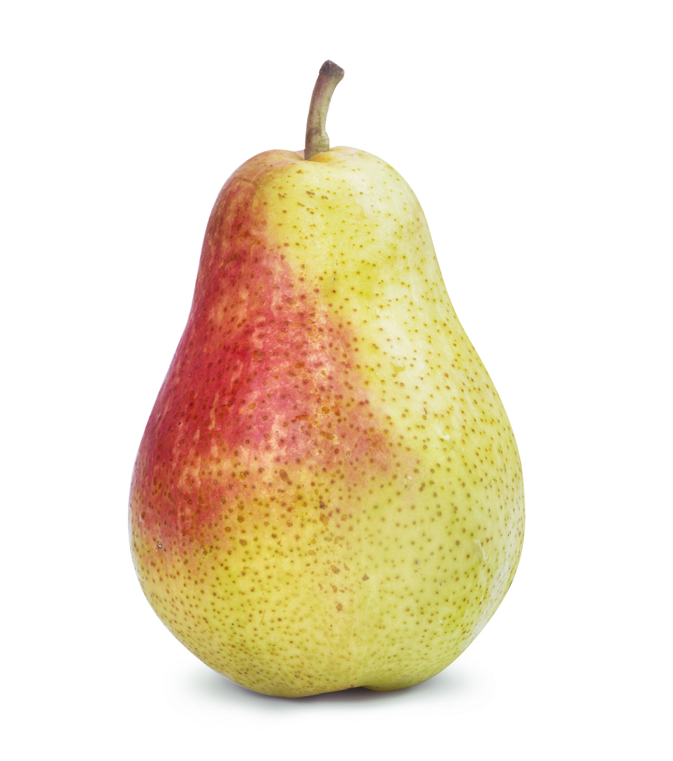 Pyrus communis 'Comice' (European Pear)