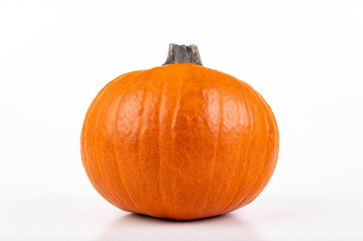 Pie pumpkin