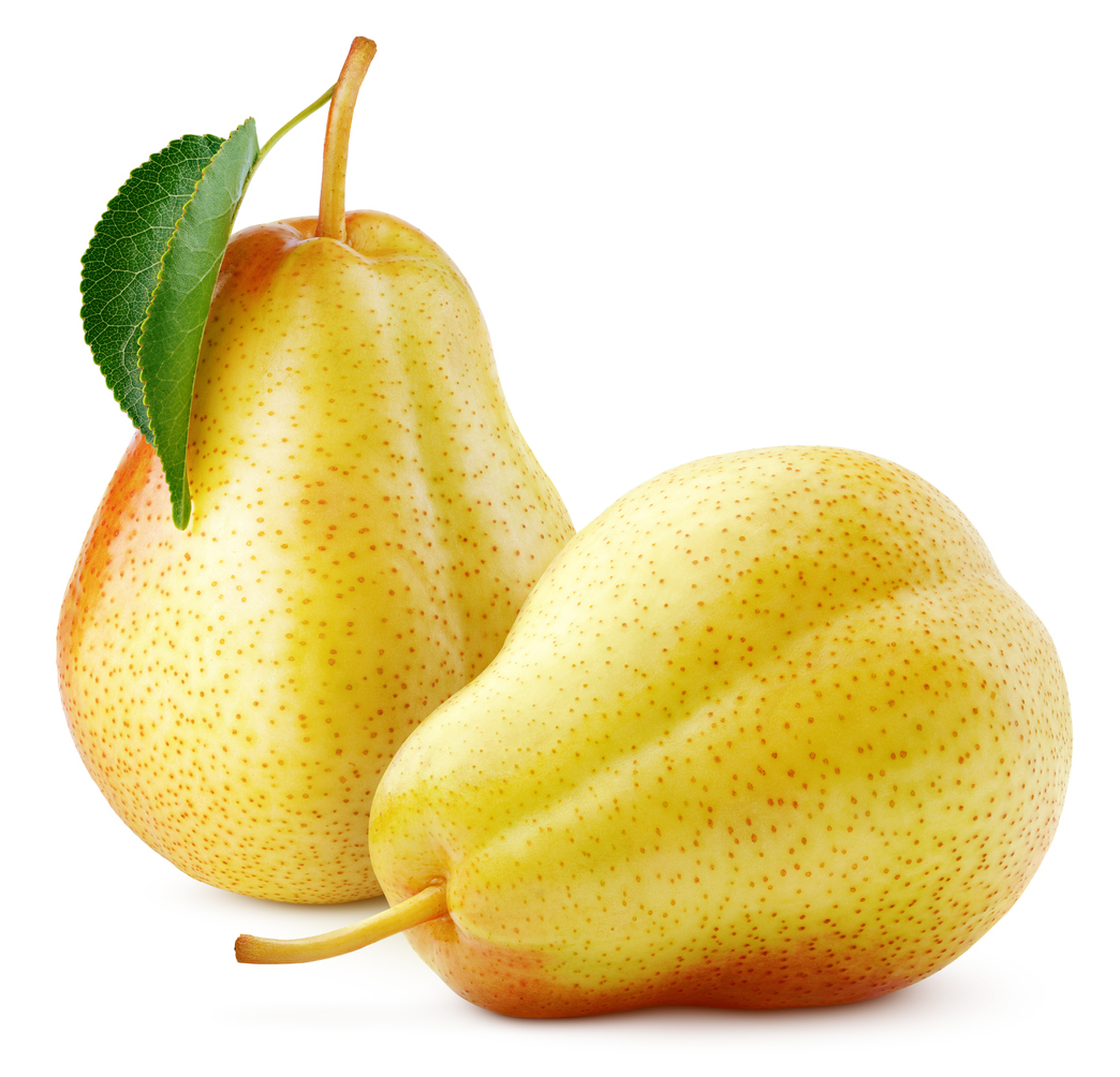 Pyrus communis 'Comice' (European Pear)