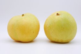 Nijisseiki Pear: Pyrus pyrifolia “Nijisseiki” (Asian Pear)