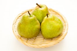 Orient Pear: Pyrus communis “Orient” (European Pear)