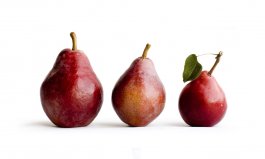 Red Sensation Pear: Pyrus communis “Red Sensation” (European Pear)