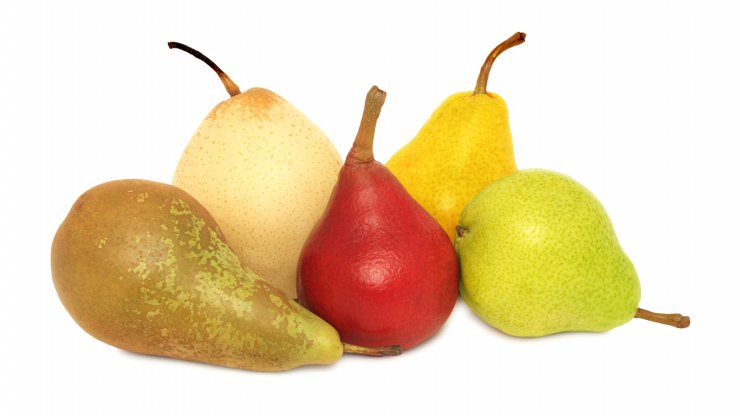Various varieties of pears.