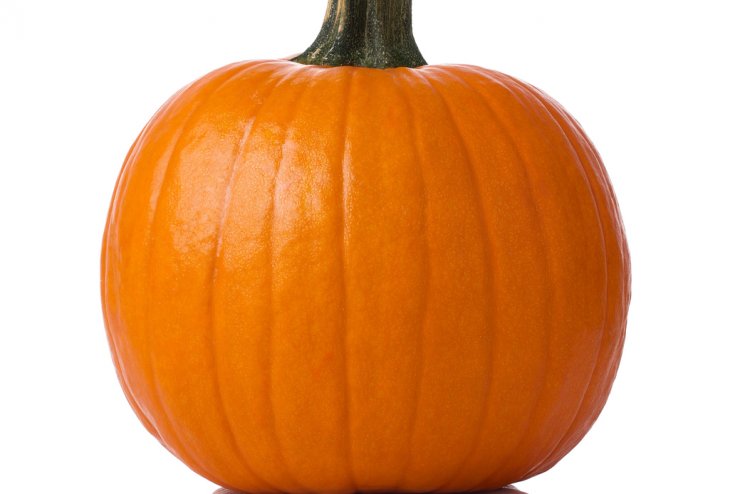 Mid-size pumpkin