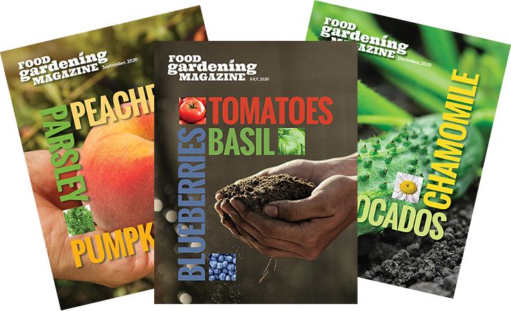 Food Gardening Magazine