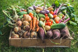 How to Plant a Food Garden According to Your Palate