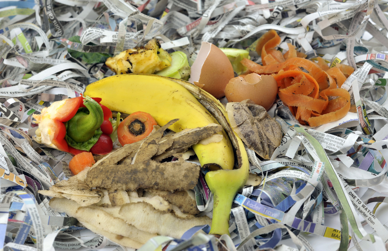 How to Keep an Odor Free Compost Bin in Your Home Food Gardening Network