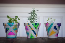 How to Paint DIY Plant Pots with Kids
