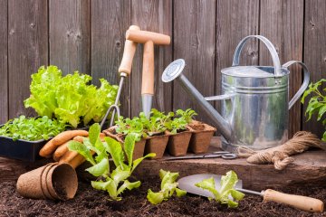 How to Build a Garden Tool Kit on a Budget