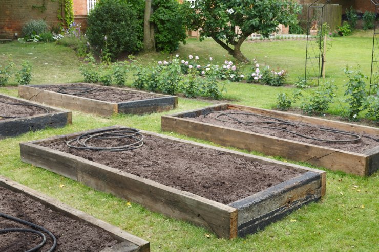 Empty raised beds ready for planting.