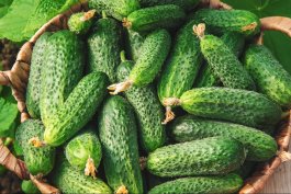 Muncher Cucumbers