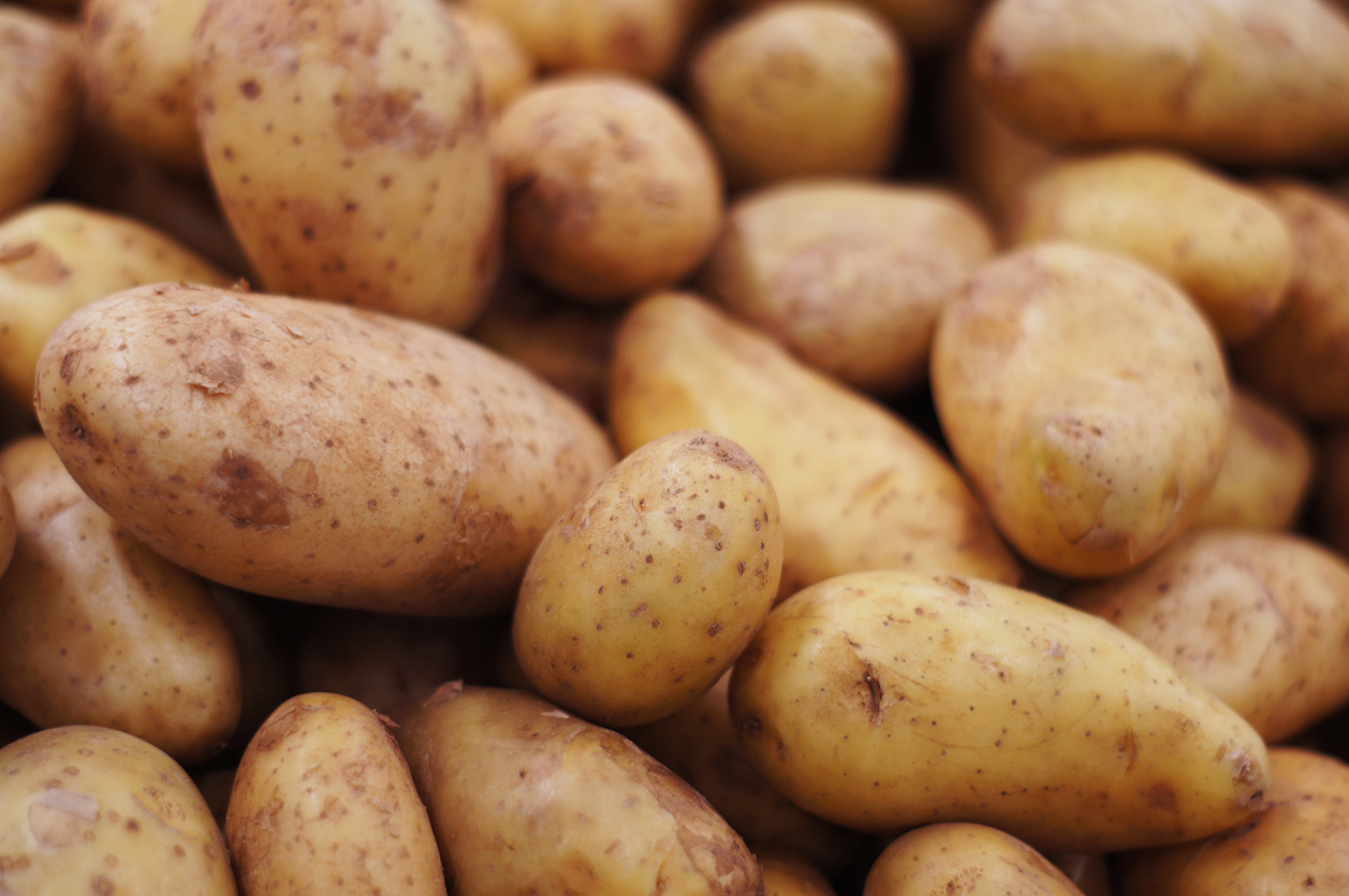 Nutrition Facts about Potatoes & Sweet Potatoes Food Gardening Network
