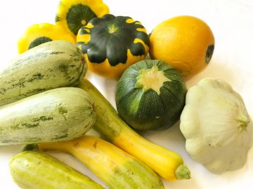 Assorted summer squashes.