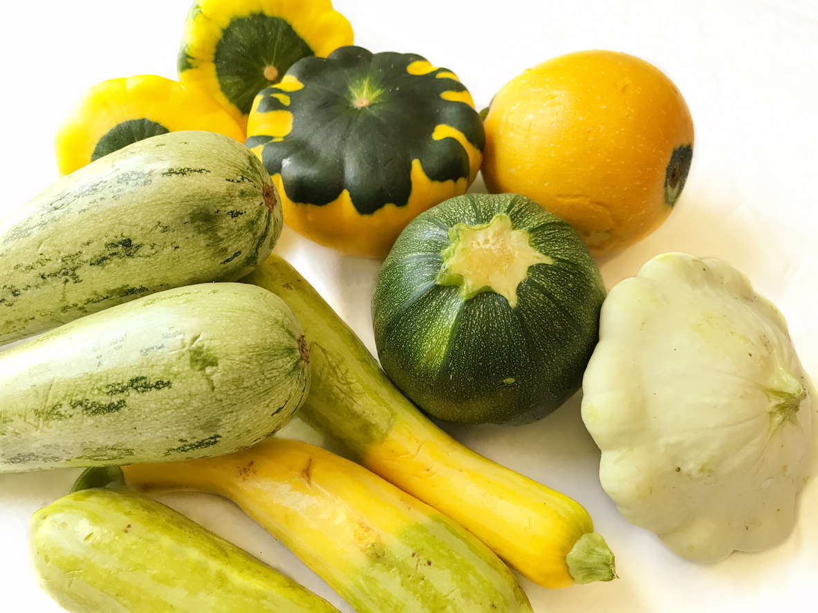 types of squash