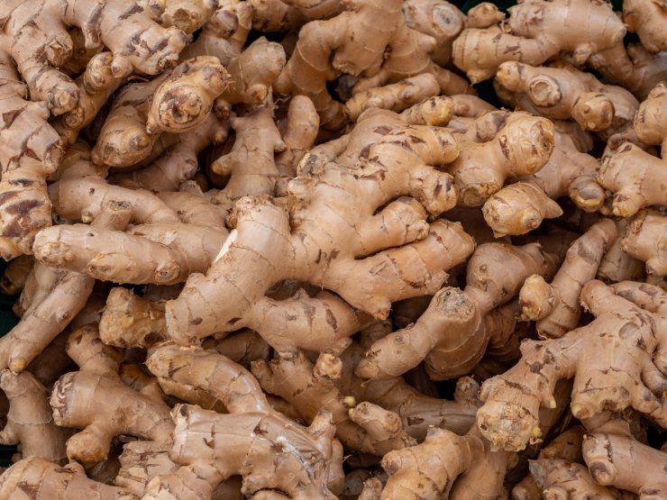 Ginger “roots”