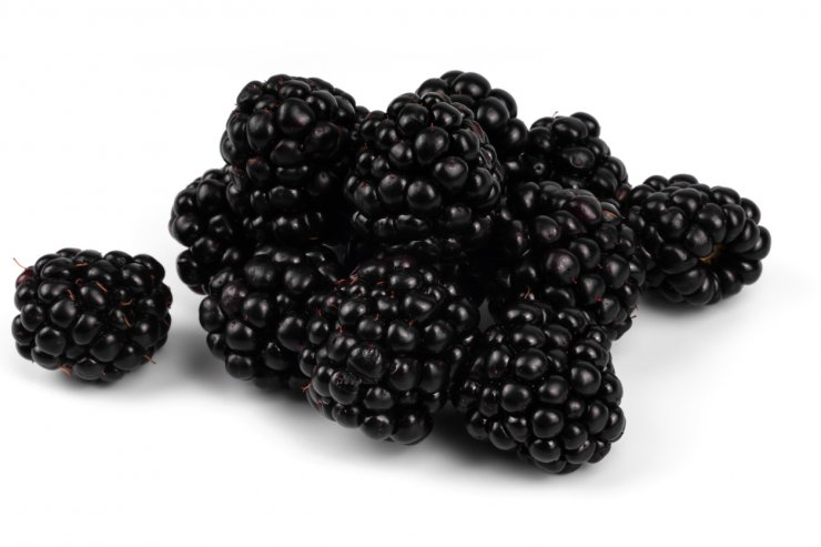 Arapaho blackberries