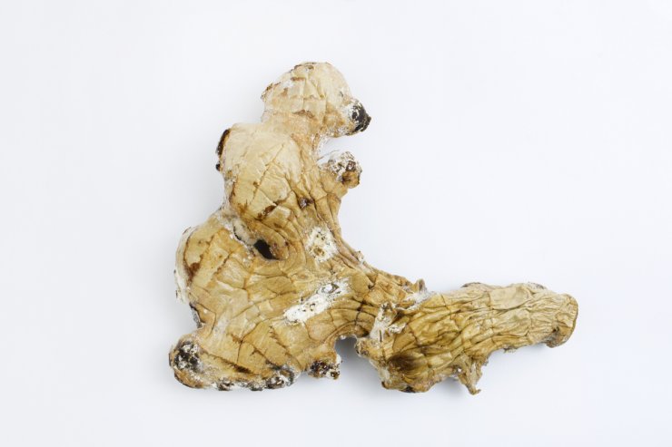Ginger is susceptible to soil-borne disease.
