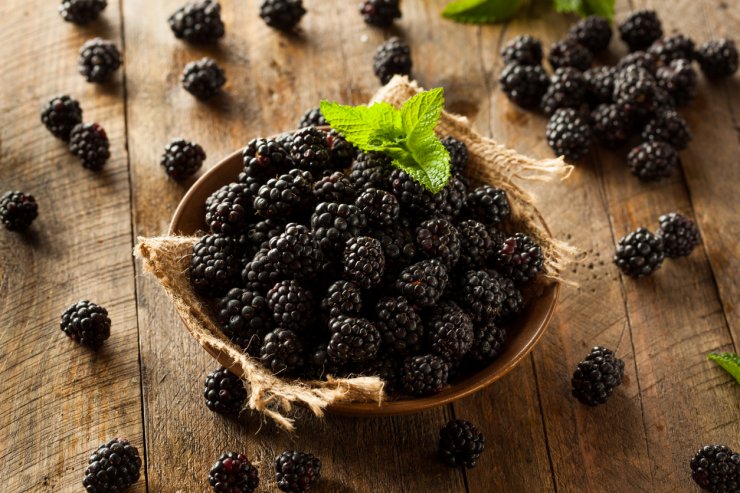 Healthy blackberries